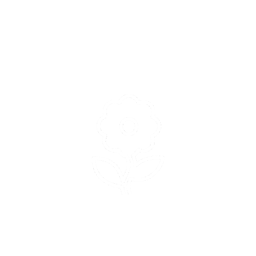 ESPECIALIZADA EM TRANSPORTES DE FLORES